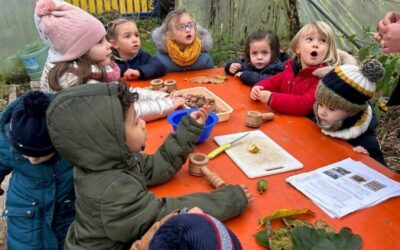 Les fruits d’automne à la Ferme de la Ville Oger